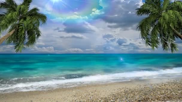 美丽的海滩美丽的热带海滩 周围有棕榈树 假期和假期的概念 热带海滩 — 图库视频影像