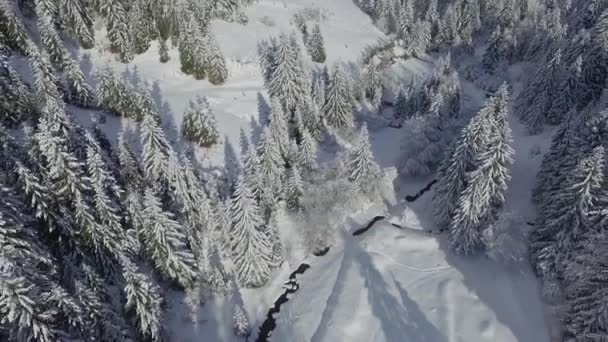 雪に覆われた山の空中ショット — ストック動画