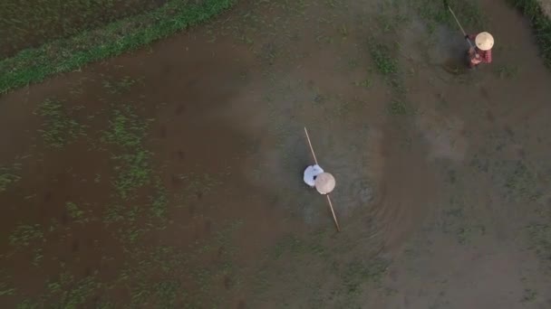 Tepeden Tırnağa Tarlalarında Çalışan Çiftçileri Uçuruyorlar — Stok video