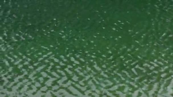 浮体式海水 — ストック動画