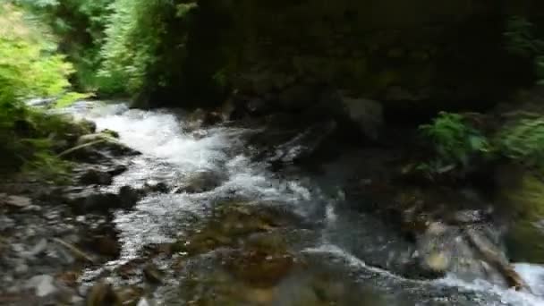 Rivier Kartitsch Oostenrijk — Stockvideo