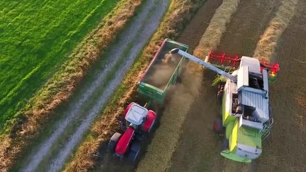 Cosechadora Trigo Con Cosechadora Acompañada Tractor Remolque — Vídeo de stock