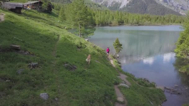 Sviçre Derborence Gölü Nün Kenarında Yürüyorum — Stok video