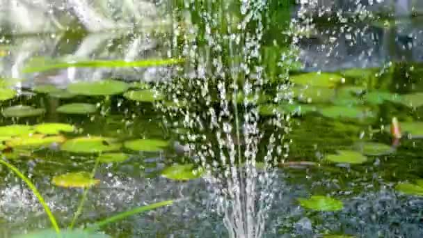 Closeup Slow Motion Fountain Spraying Water Pond Hot Day Cool — ストック動画