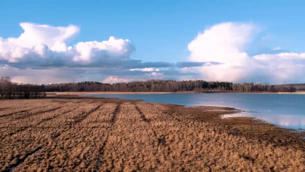 Поля Озеро Природном Парке Хельсинки Финляндия — стоковое видео