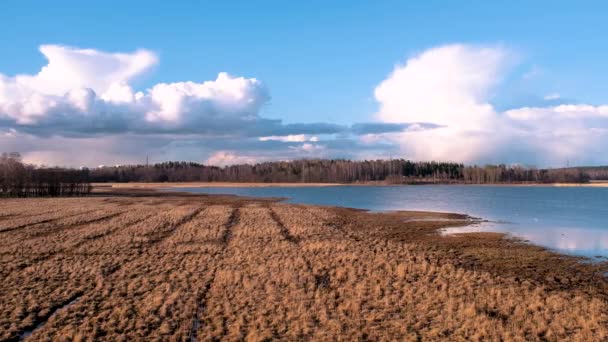 Campi Lago Parco Naturale Helsinki Finlandia — Video Stock