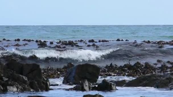 波はメルクボストランドの岩に対して飛び散った — ストック動画
