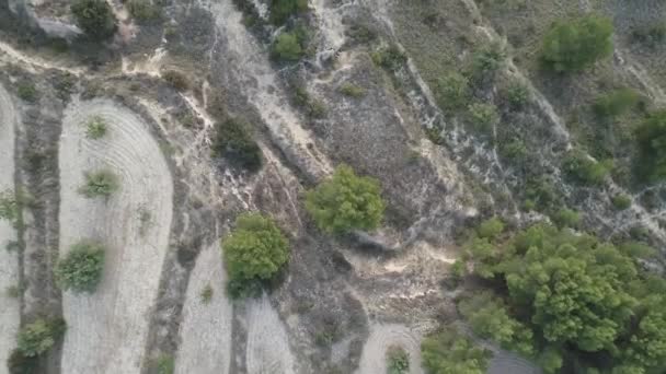 Drone Tiro Bosque Montaña Desde Arriba — Vídeos de Stock