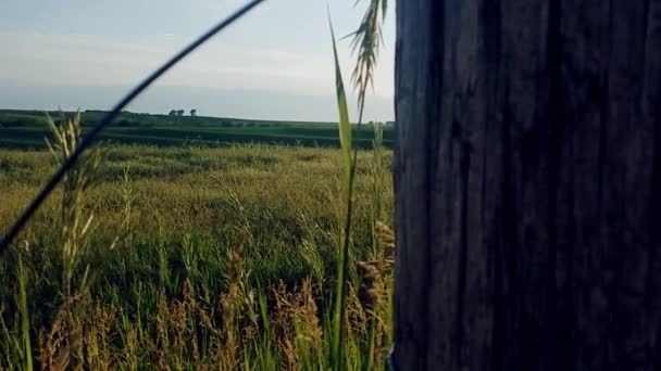Sunset Pasture Iowa — Stock Video
