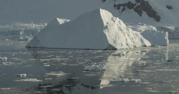 Pływające Lodowce Antarktydzie Wspaniałe Obrazy Białego Kontynentu Poruszająca Kamera Spokojne — Wideo stockowe