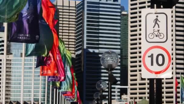 Darling Harbour Flags — Stock Video