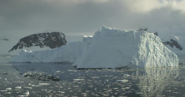 Bergs Gelo Flutuantes Antártida Imagens Impressionantes Continente Branco Câmera Movimento — Vídeo de Stock