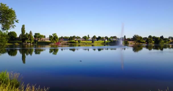 在阳光明媚的日子里 鸭子在华盛顿摩西湖上游泳 蓝天映衬着尼泊尔坡登陆 — 图库视频影像
