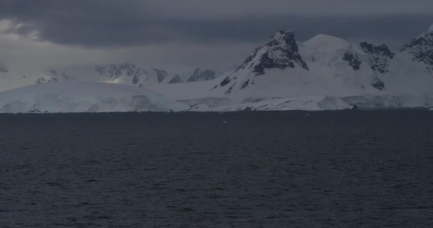 Montagne Antartiche Tutta Loro Gloria Contro Primo Piano Della Penisola — Video Stock