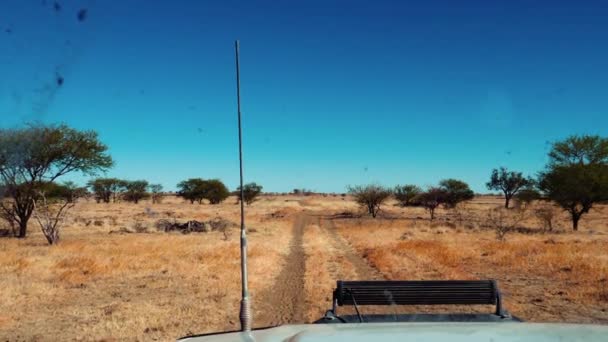 Auto Fährt Zeitlupe Durch Australisches Outback — Stockvideo