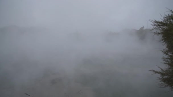 Vista Hacia Niebla Vapor Del Agua Del Gusano Lago Termal — Vídeos de Stock