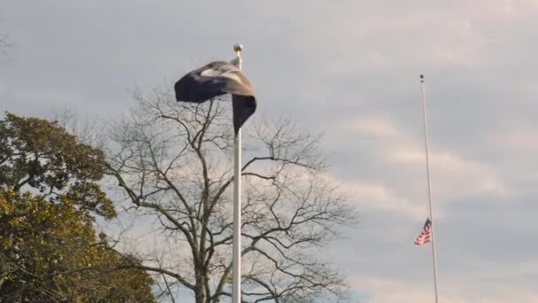 Flag Blowing Wind Military Cemetery Winter — Stock Video