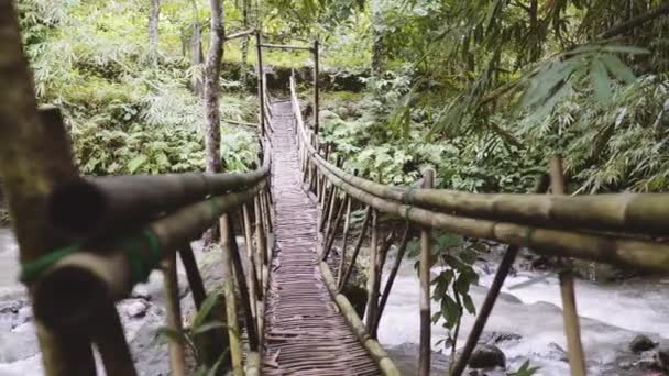 Puente Bambú Sobre Río Bali Indonesia — Vídeo de stock