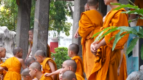 Monniken Van Wat Prayoon Tempel Aan Het Water — Stockvideo