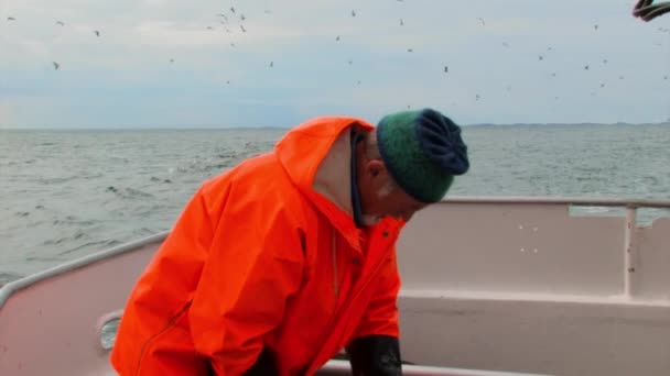 Een Visser Bereidt Aas Voor Dagelijkse Taken Boot — Stockvideo