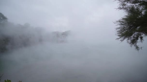 纵观雾气 热湖中的蠕虫水蒸汽带着一棵树的前景 雾已经大到足以暴露一个女孩在对岸的防波堤上挥动着胳膊 — 图库视频影像