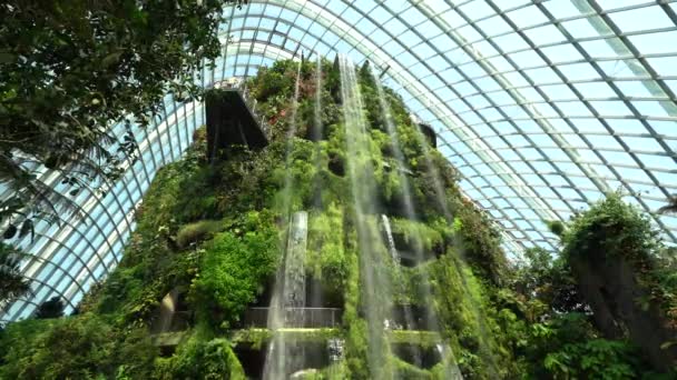 Vue Statique Chute Eau Artificielle Intérieure Gigantesque Aux Jardins Singapour — Video