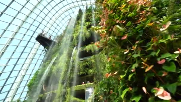 Herausgleiten Aus Einer Blumenmauer Den Herrlichen Künstlichen Wasserfall Der Wolkenkuppel — Stockvideo