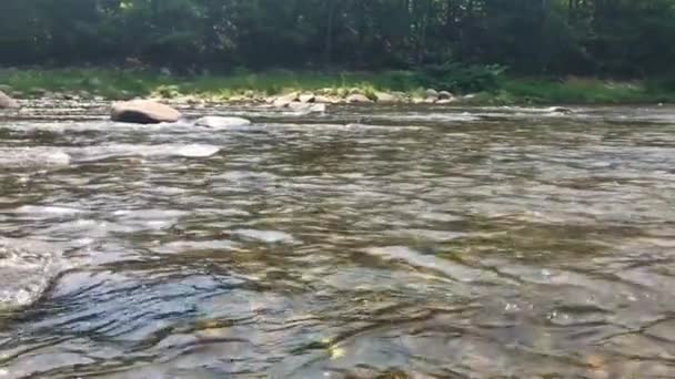 Güneşli Bir Günde Maine Deki Bir Nehrin Yavaş Çekim Videosu — Stok video