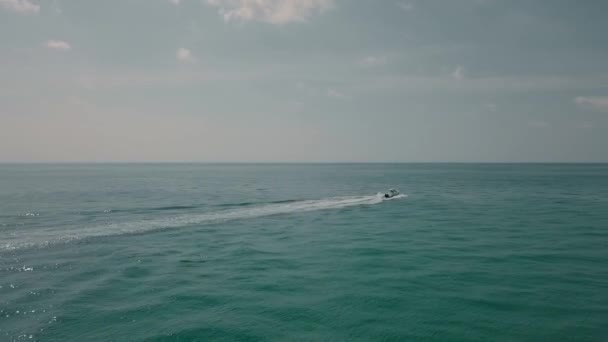 サメに囲まれたマイアミビーチのボート — ストック動画
