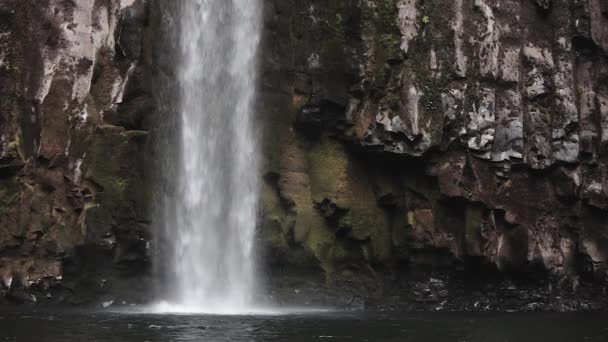 Abiqua Şelalesi Oregon Şelalesinin Arka Planında Yavaş Çekim Suyu Suya — Stok video