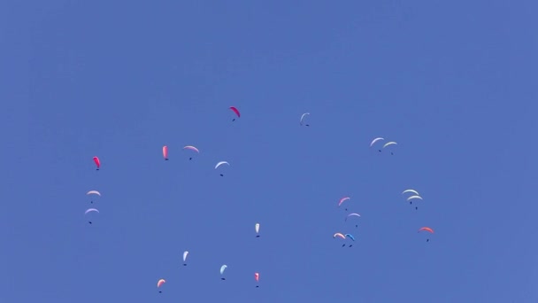 Parapentes Voladores Cielo — Vídeos de Stock