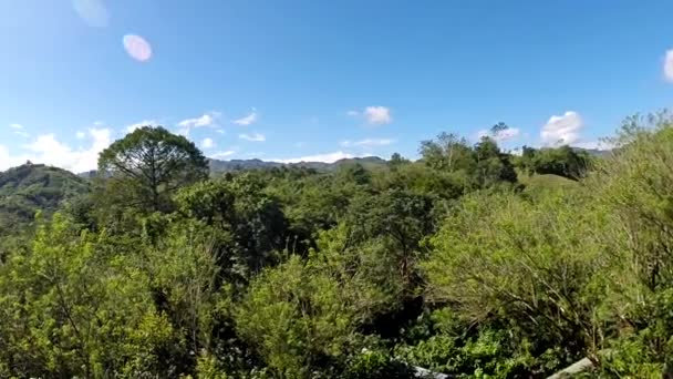 Панорамный Вид Тропический Лес Семюке Чампей — стоковое видео