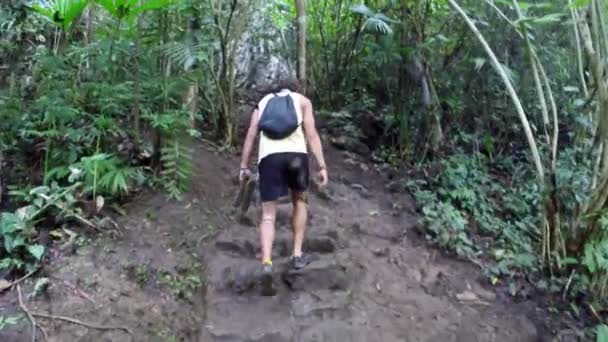 Punto Vista Hombre Que Mueve Por Selva Tropical Semuc Champey — Vídeo de stock