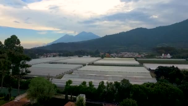 Vista Aérea Los Invernaderos Antigua Guatemala — Vídeo de stock