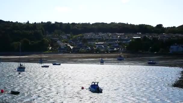 Beaumaris Pier Docks Water Sea — Stock Video