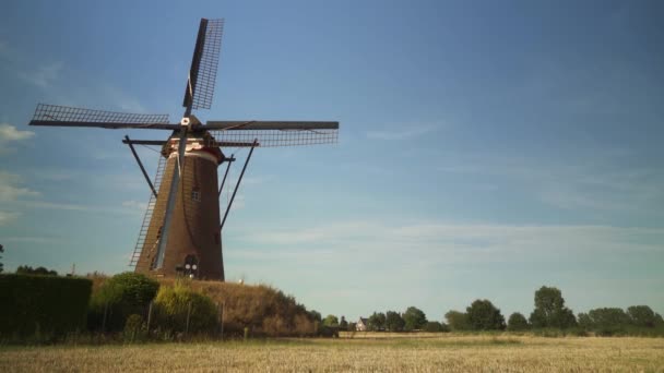 Tipikus Holland Szélmalom Hátul — Stock videók