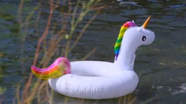 Unicornio Arco Iris Plástico Inflable Flotando Agua — Vídeo de stock