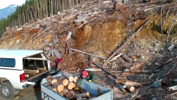 无人侦察机拍摄的森林被砍伐的山与人在拖车堆柴 — 图库视频影像