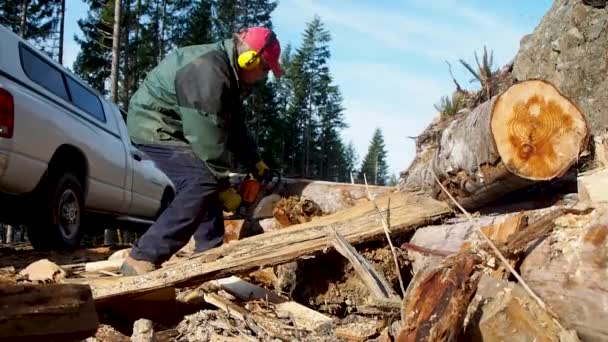 Cortar Leña Una Montaña Con Motosierra — Vídeo de stock