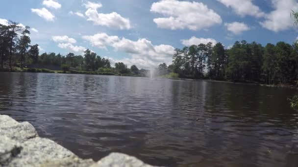 Still Shot Lake Snellville — Stock video