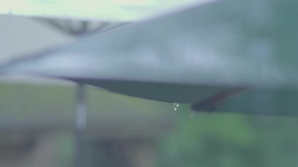 Νερό Στάζει Κάτω Ομπρέλα Βροχερή Μέρα Αργή Κίνηση — Αρχείο Βίντεο