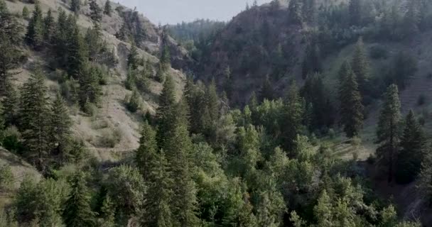 Létání Dron Přes Strmé Horské Údolí Britské Kolumbii Během Horkého — Stock video