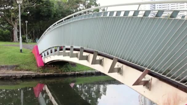 Kullanım Altında Köprü Görüntüsü — Stok video