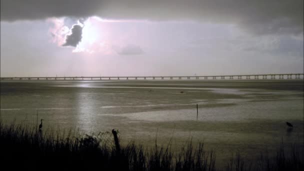 View Tampa Bay Storm — Stock Video