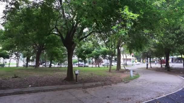 Vista Del Pequeño Parque Vacío — Vídeo de stock