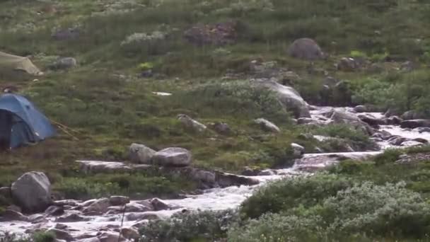 Regen Auf Einem Bach Den Norwegischen Bergen — Stockvideo
