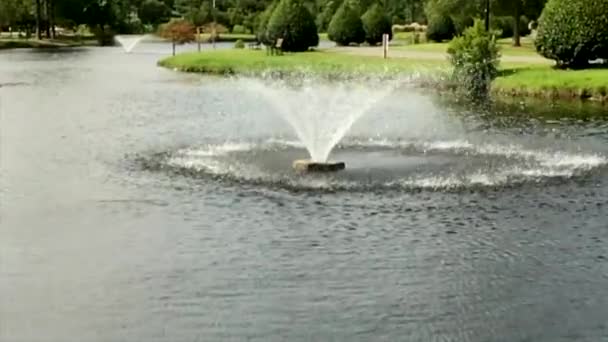 Vijver Scènes Park Scènes Water Bomen Mos — Stockvideo