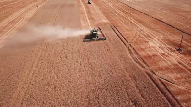 Imágenes Drones Que Muestran Campo Cosecha Trigo Combine Harvester Reino — Vídeo de stock