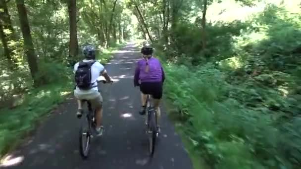 Près Adolescent Mère Mature Sur Chemin Fer Pavé Dans Une — Video