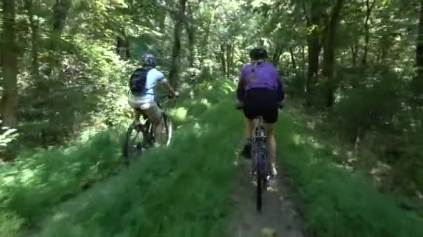 Mature Mother Son Biking Canal Natioanal Park Harpers Ferry West — Stock Video